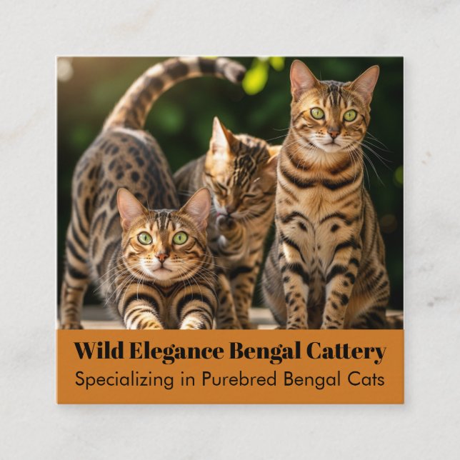 Customisable Bengal Cattery Business Card  (Front)