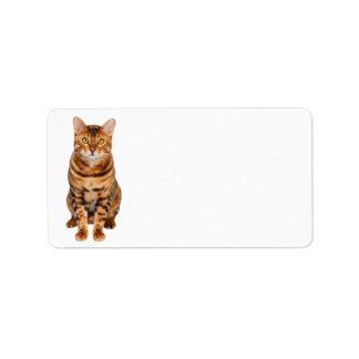 Customisable Bengal Kitten Address Label. Label