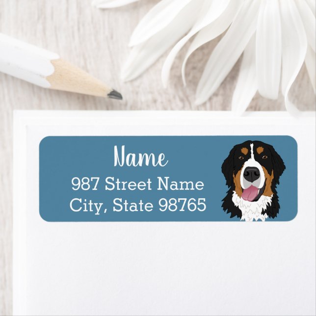 Customisable Bernese Mountain Dog  (Insitu)