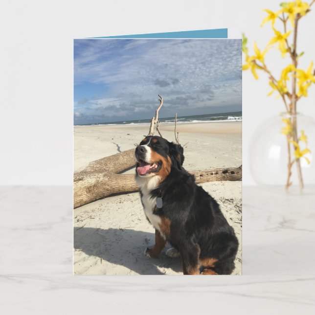 Customisable Bernese Mountain Dog Card (Yellow Flower)