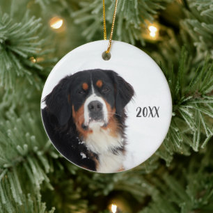 Customisable Bernese Mountain Dog Ceramic Tree Decoration