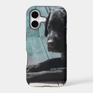 Customisable Black Labrador Retriever