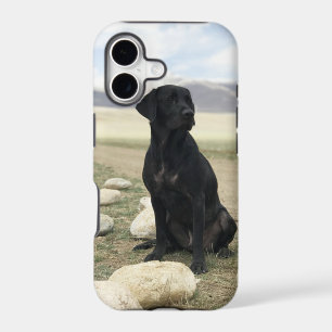 Customisable Black Labrador Retriever
