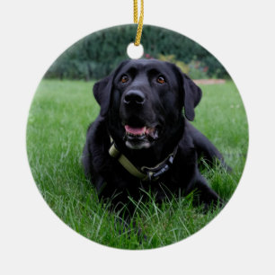 Customisable Black Labrador Retriever Ceramic Tree Decoration
