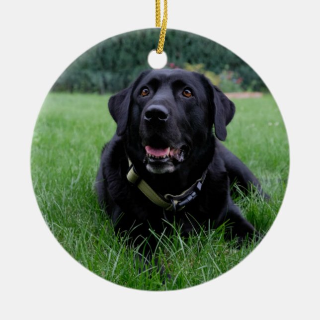 Customisable Black Labrador Retriever Ceramic Tree Decoration (Front)