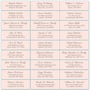 Customisable blush wedding guest address sticker