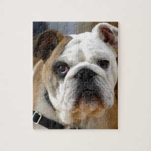 Customisable Bulldog Jigsaw Puzzle