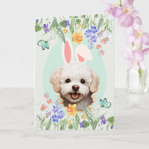 Customisable Bunny Ears Maltese Easter Card