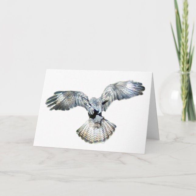 Customisable Buzzard Fanned Wings Greeting Card  (Front)