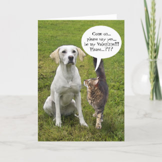 (Customisable) Cat & Dog Valentine Holiday Card