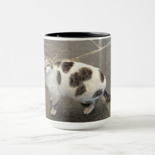 Customisable Cat mug - choose style & colour