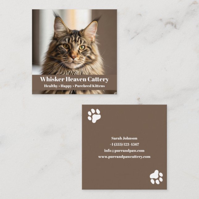 Customisable Cattery Business Card with Cat Photo  (Front/Back)