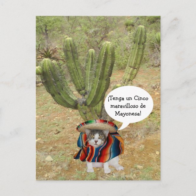 Customisable Cinco de Mayo Postcard (Front)