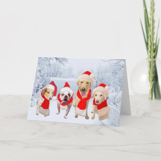 Customisable Cute Dogs Season's Greetings Holiday Card (Front)
