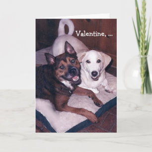 Customisable Cute Dogs Valentine Holiday Card