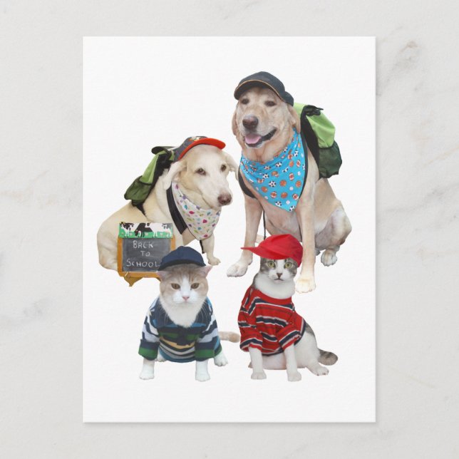 Customisable Cute Pets Postcard (Front)