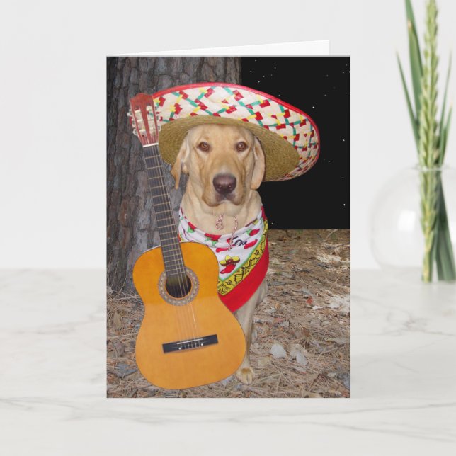 Customisable Cute Spanish, Lab Valentine Holiday Card (Front)