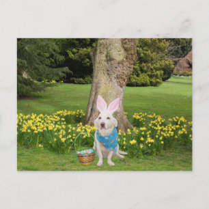 Customisable Easter Egg Hunt Invitation Postcard