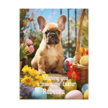Customisable Easter Joy with Furry Friends