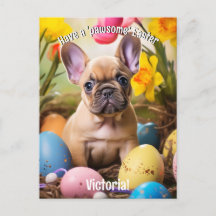 Customisable Easter Joy with Furry Friends