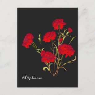 Customisable Elegant Vintage Floral Red Carnation Postcard