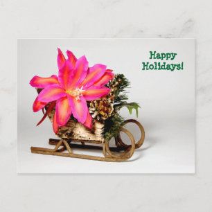 Customisable Epiphyllum Christmas Post Card