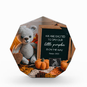 Customisable fallFall Pregnancy Announcement  Photo Block