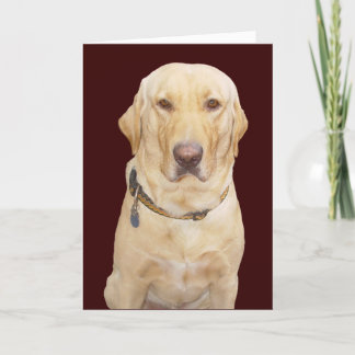 Customisable Father's Day for Father/Brother/Stepf Card