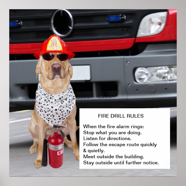 Customisable Fire Drill Poster (Front)