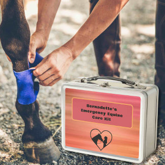 Customisable First Aid Equine Emergency Container Metal Lunch Box