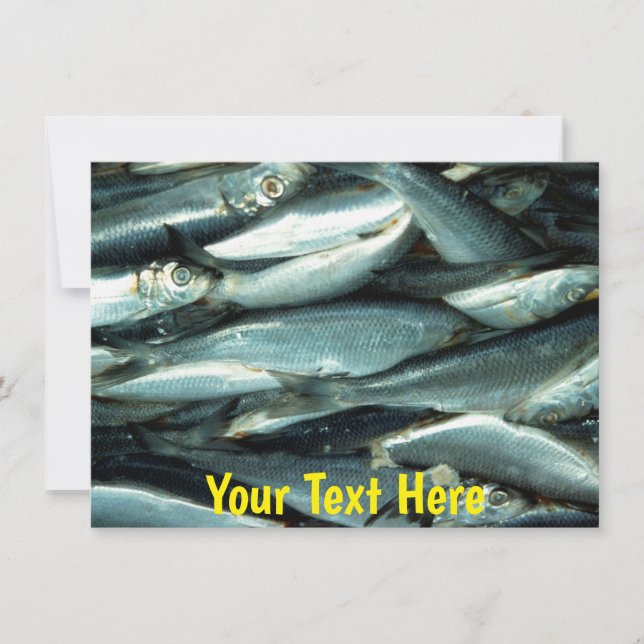 Customisable Fish card (Front)