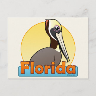 Customisable FL Brown Pelican Postcard