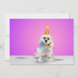 Customisable Flat Party Invitation Card 5x7