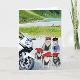 Customisable Funny Biker Cats Birthday Card