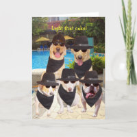 Customisable Funny Blues Dogs/Labs Birthday