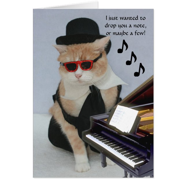 Customisable Funny Cat (Front)