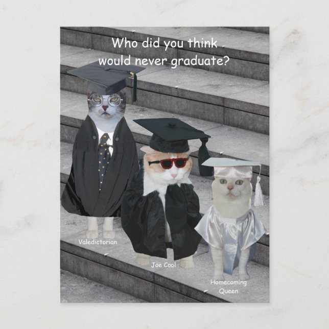 Customisable Funny Cat/Kitty Graduates Announcement Postcard (Front)