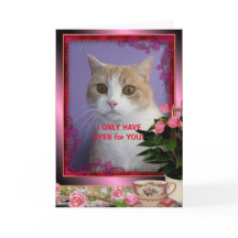 Customisable Funny Cat Valentine