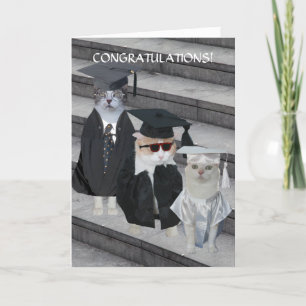 Customisable Funny Cats/Kitties Graduation Card