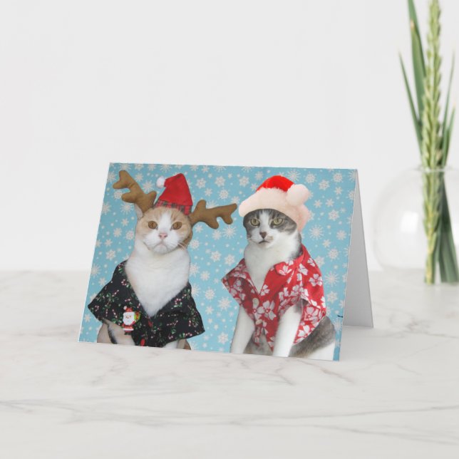 Customisable Funny Christmas Cats Holiday Card (Front)