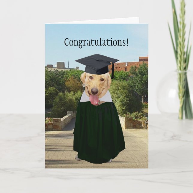 Customisable Funny Dog/Lab Graduation Card (Front)