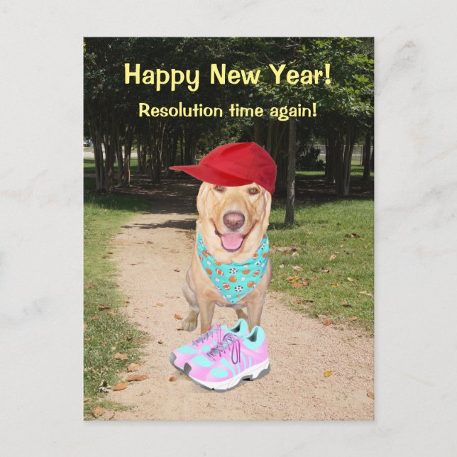 Customisable Funny Dog New Year Resolution Holiday Postcard (Front)
