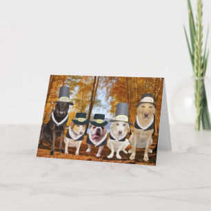 Customisable Funny Dog Pilgrims Thanksgiving Card