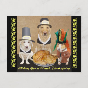 Customisable Funny Dogs Happy Thanksgiving Holiday Postcard