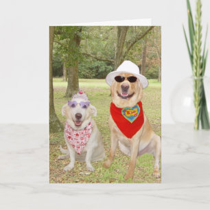 Customisable Funny Dogs Holiday Card