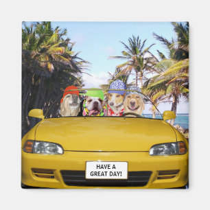 Customisable Funny Dogs in Convertible Magnet