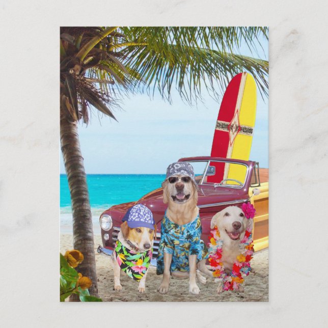 Customisable Funny Dogs/Labs on the Beach Postcard (Front)