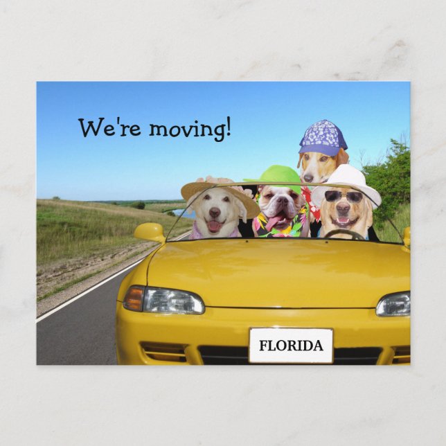 Customisable Funny Dogs We're Moving Announcement Postcard (Front)