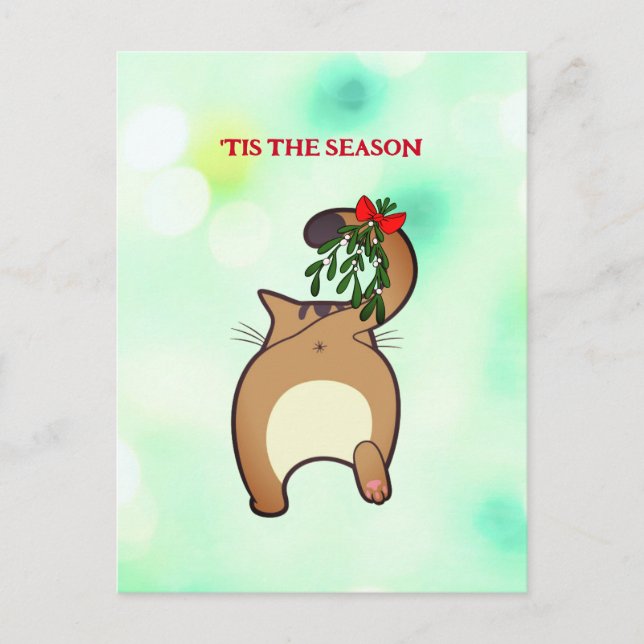 Customisable funny holiday cat tail mistletoe postcard (Front)