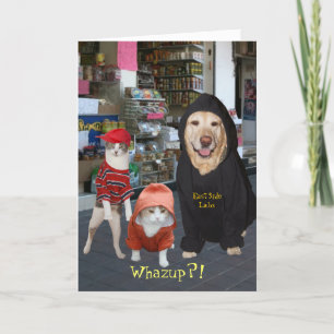 Customisable Funny Pets/Cats/Dog Whazup Birthday Card